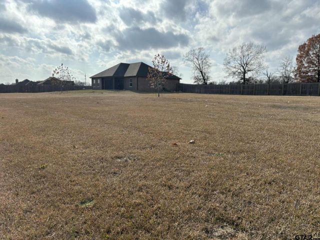 273 CR 1610, Alba, TX 75410