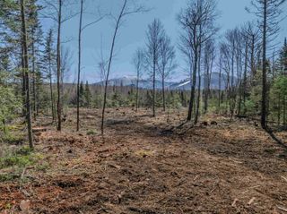 000 Easton Road, Franconia, NH 03580