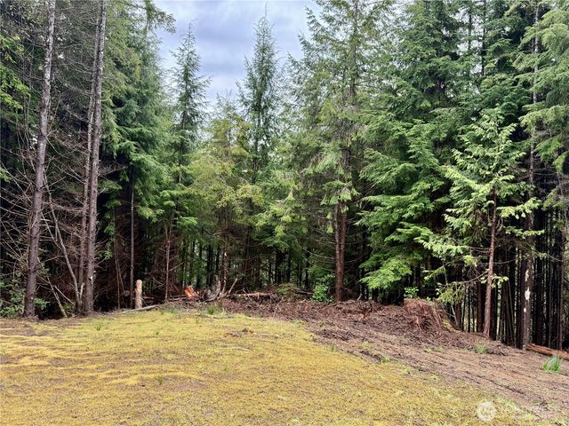 97 Dempsey Creek Lane, Aberdeen, WA 98520