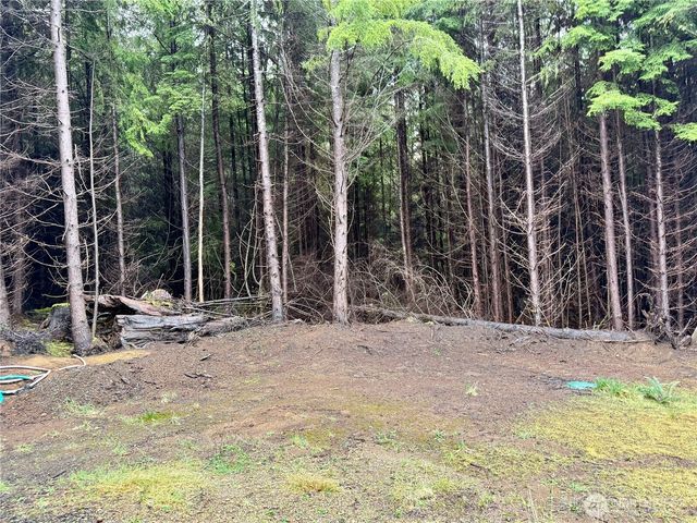 97 Dempsey Creek Lane, Aberdeen, WA 98520