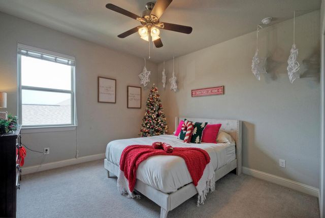 20304 Thumper Jack CT, Pflugerville, TX 78660