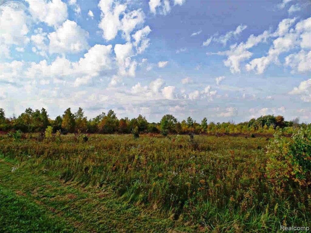 9147 Corunna Road, Clayton Charter Township, MI 48532