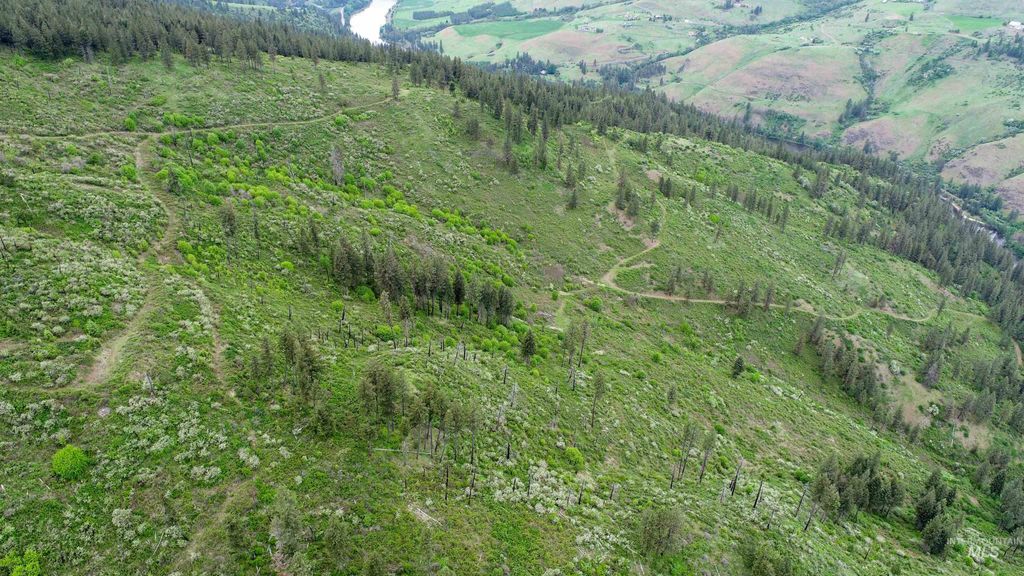 Ruaral Land Mile Marker 33 Hwy 12, Peck, ID 83545 photo 10