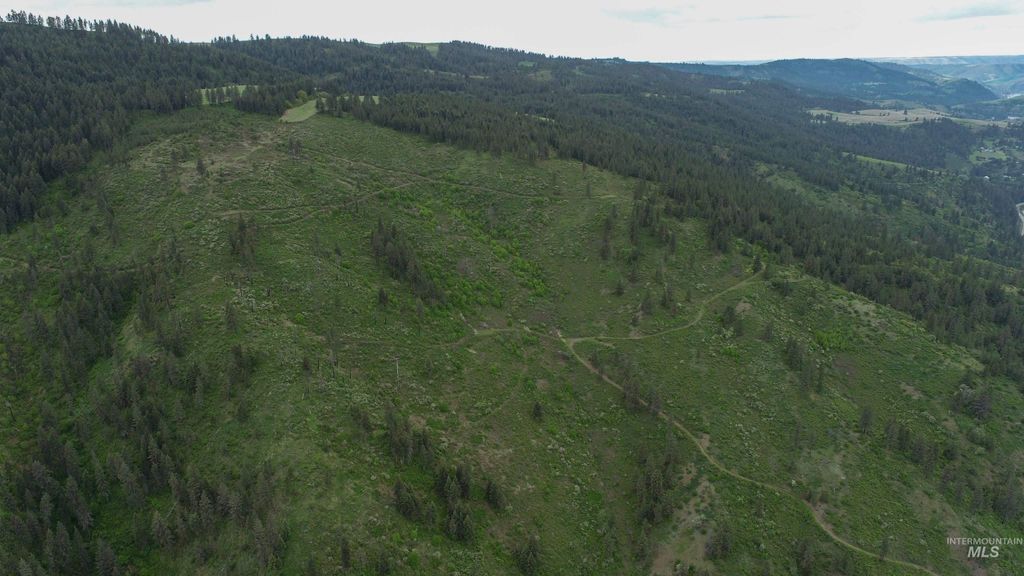 Ruaral Land Mile Marker 33 Hwy 12, Peck, ID 83545 photo 11