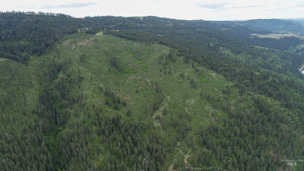 Ruaral Land Mile Marker 33 Hwy 12, Peck, ID 83545 photo 13