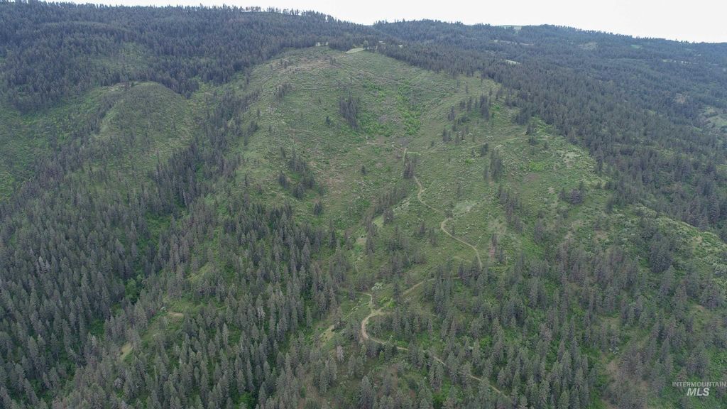 Ruaral Land Mile Marker 33 Hwy 12, Peck, ID 83545 photo 15