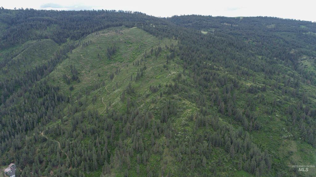 Ruaral Land Mile Marker 33 Hwy 12, Peck, ID 83545 photo 16