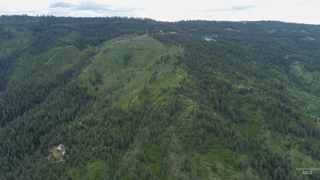 Ruaral Land Mile Marker 33 Hwy 12, Peck, ID 83545 photo 17