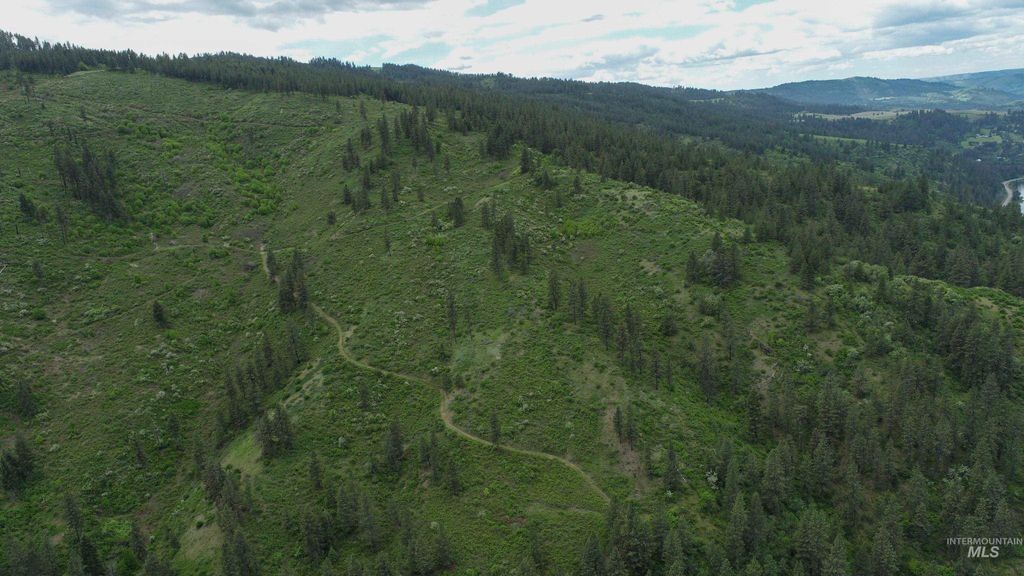 Ruaral Land Mile Marker 33 Hwy 12, Peck, ID 83545 photo 18