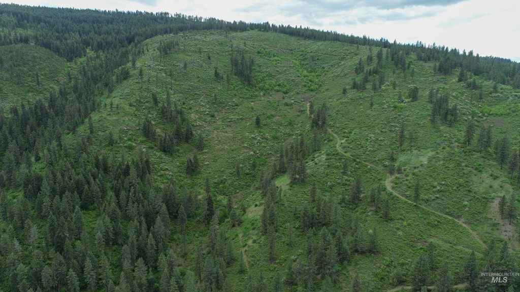 Ruaral Land Mile Marker 33 Hwy 12, Peck, ID 83545 photo 19