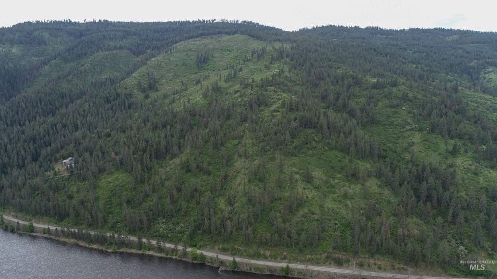 Ruaral Land Mile Marker 33 Hwy 12, Peck, ID 83545 photo 4