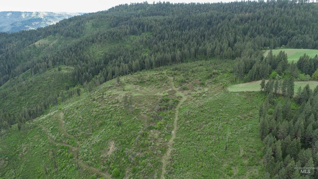 Ruaral Land Mile Marker 33 Hwy 12, Peck, ID 83545 photo 5