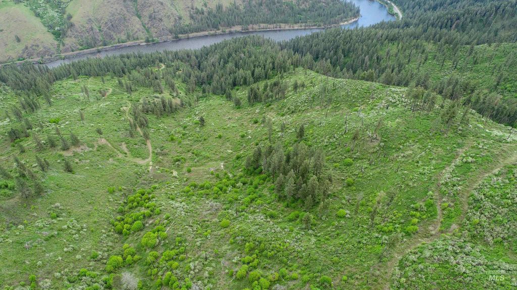 Ruaral Land Mile Marker 33 Hwy 12, Peck, ID 83545 photo 7