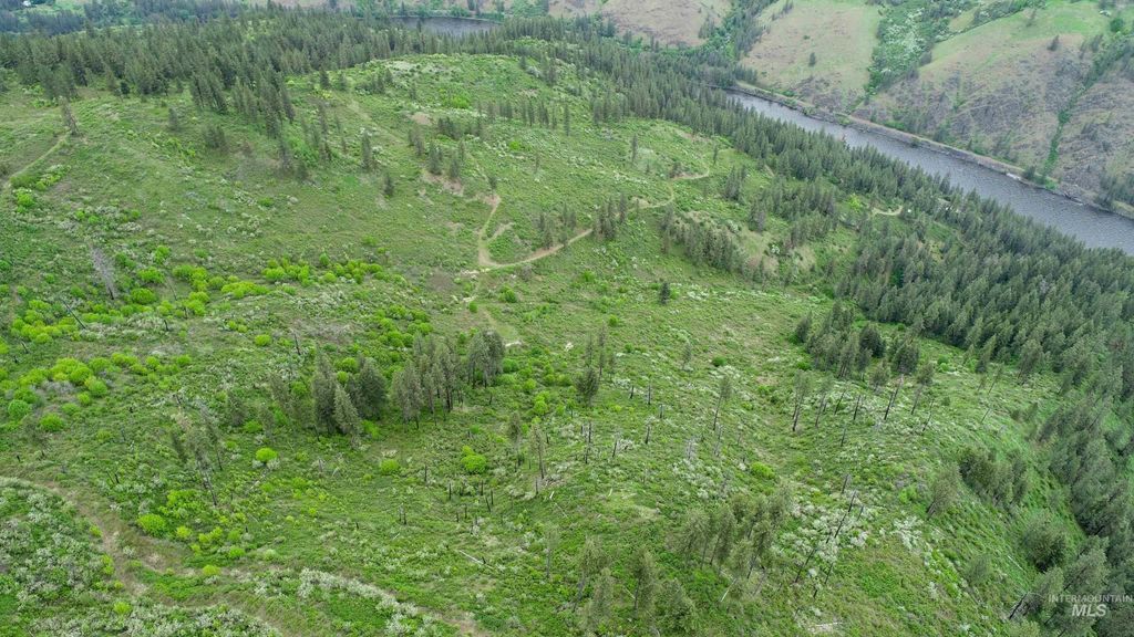 Ruaral Land Mile Marker 33 Hwy 12, Peck, ID 83545 photo 9