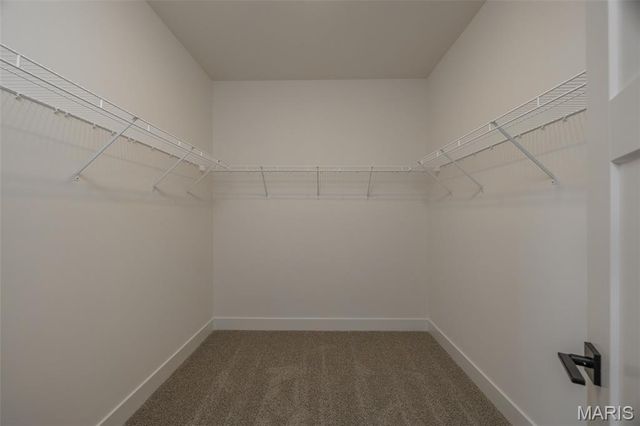 21 Saratoga Springs Drive, Silex, MO 63377