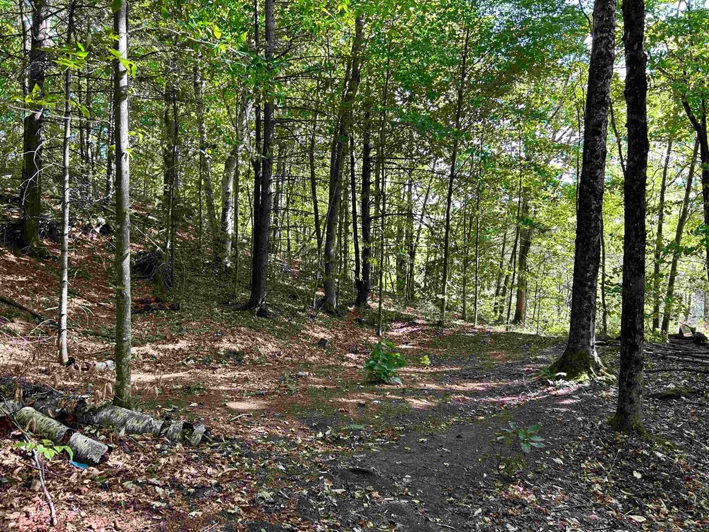 Image 6 of property listing at 0 GAR Road, Calais, VT 05650