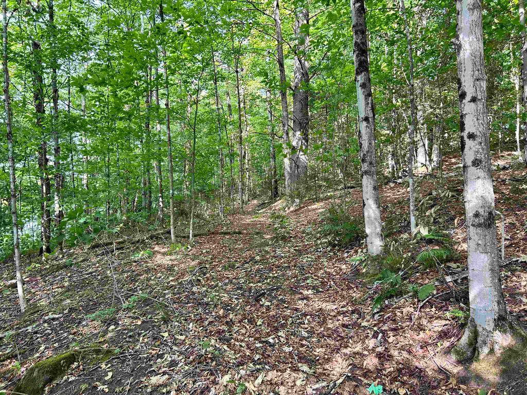 Image 7 of property listing at 0 GAR Road, Calais, VT 05650