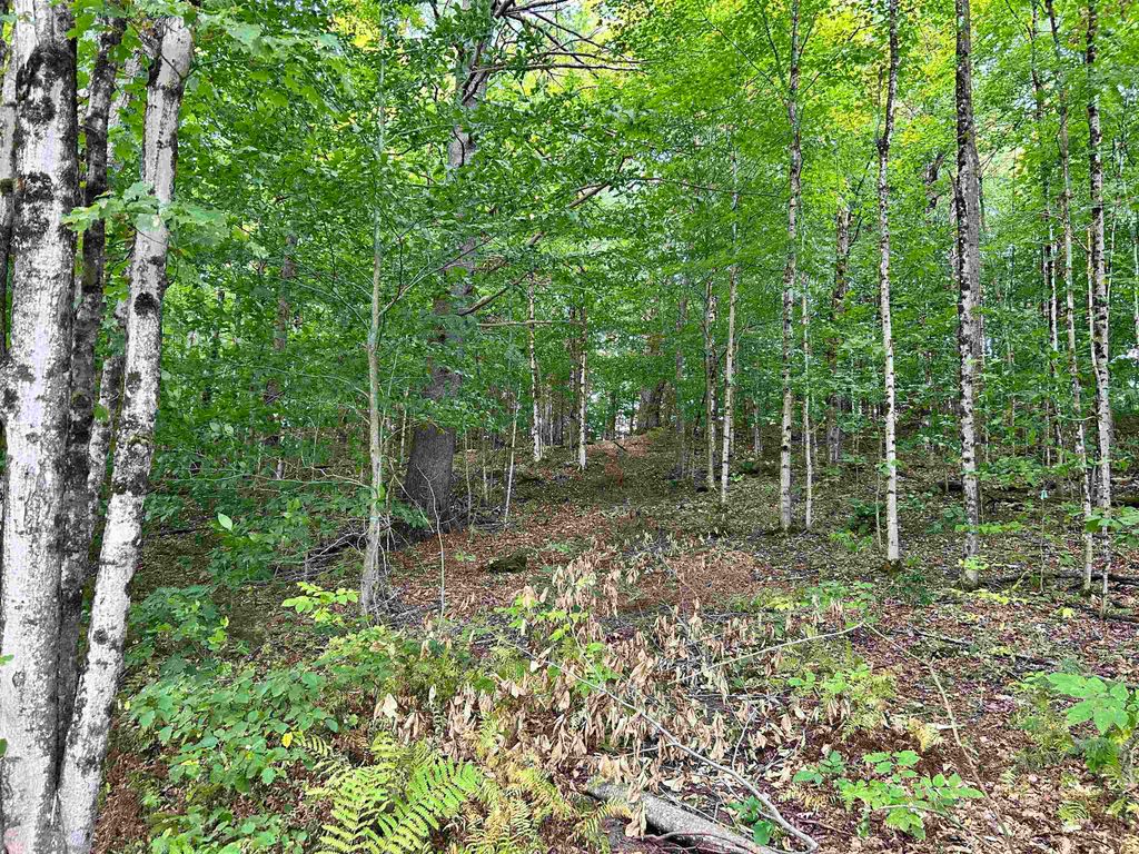 Image 8 of property listing at 0 GAR Road, Calais, VT 05650