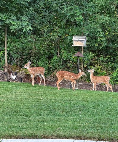 14376 W 185th Avenue, Lowell, IN 46356