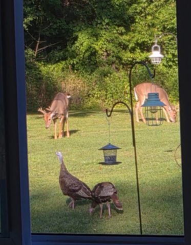 14376 W 185th Avenue, Lowell, IN 46356