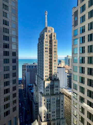 100 E Walton Street 41DE, Chicago, IL 60611