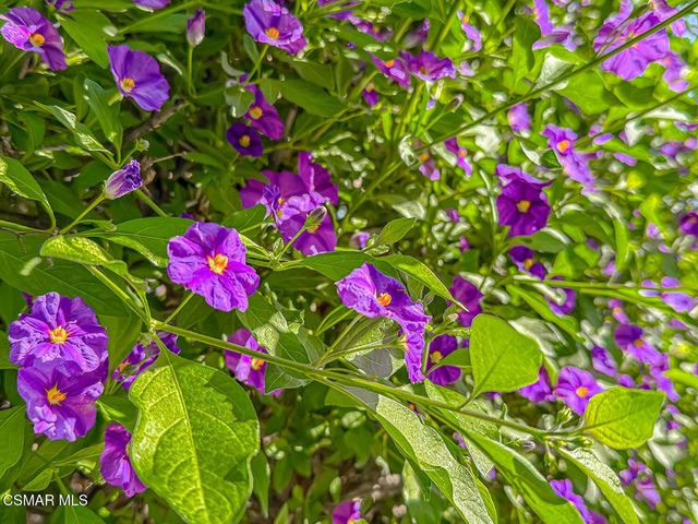 1915 Woodside Drive, Thousand Oaks, CA 91362