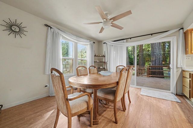 18020 N Mace Dr, Pioneer, CA 95666