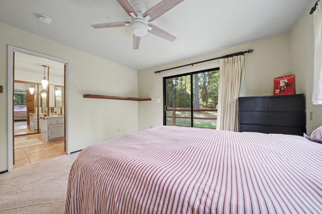 18020 N Mace Dr, Pioneer, CA 95666