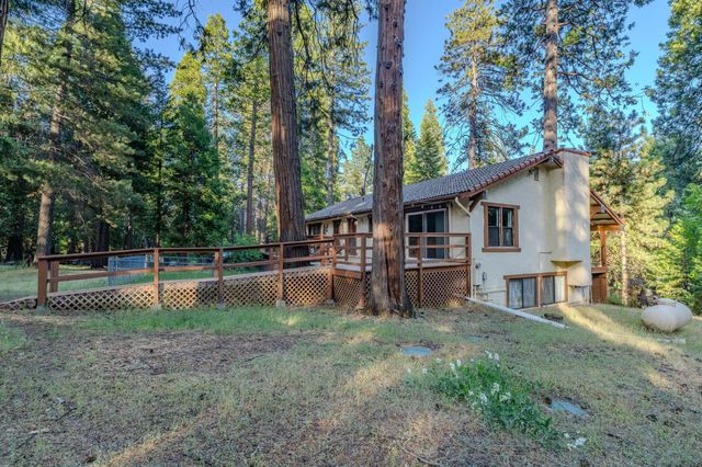 18020 N Mace Dr, Pioneer, CA 95666