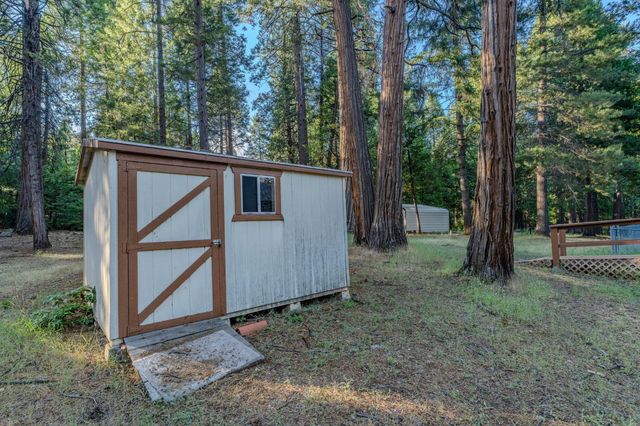 18020 N Mace Dr, Pioneer, CA 95666