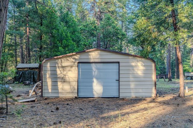 18020 N Mace Dr, Pioneer, CA 95666