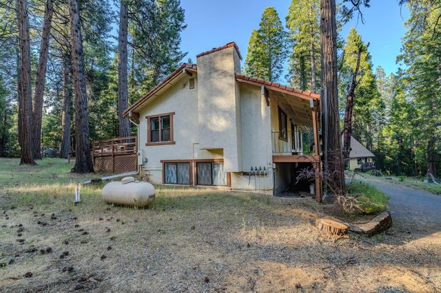 18020 N Mace Dr, Pioneer, CA 95666