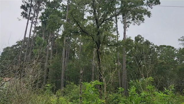 Lot 11 Scarlet Oak Drive, Plantersville, TX 77363