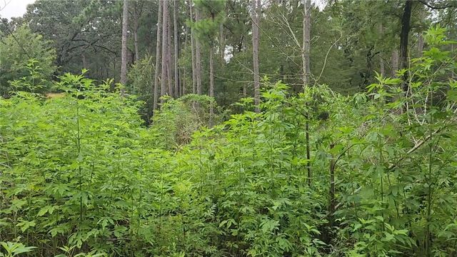 Lot 11 Scarlet Oak Drive, Plantersville, TX 77363