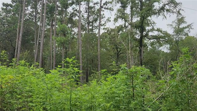 Lot 11 Scarlet Oak Drive, Plantersville, TX 77363