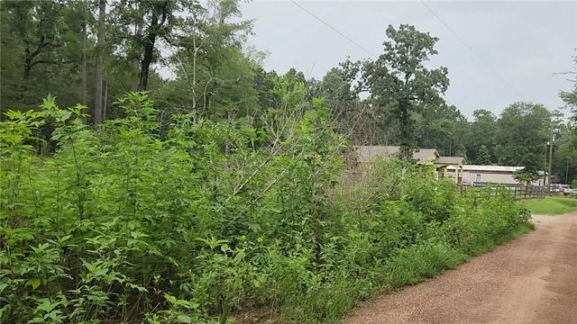 Lot 11 Scarlet Oak Drive, Plantersville, TX 77363