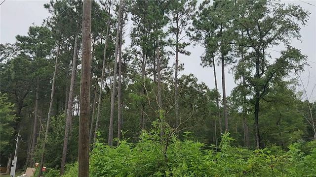 Lot 11 Scarlet Oak Drive, Plantersville, TX 77363