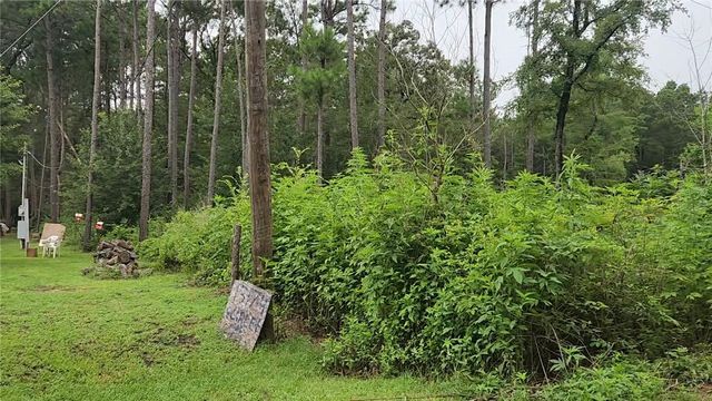 Lot 11 Scarlet Oak Drive, Plantersville, TX 77363