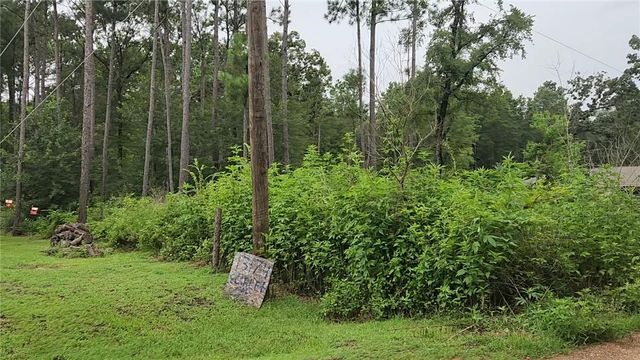 Lot 11 Scarlet Oak Drive, Plantersville, TX 77363