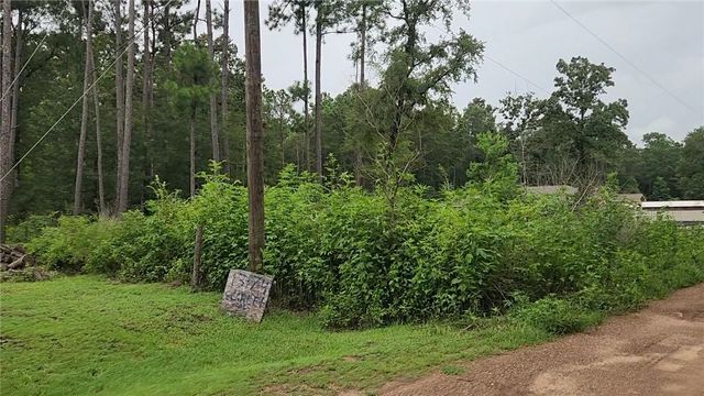 Lot 11 Scarlet Oak Drive, Plantersville, TX 77363