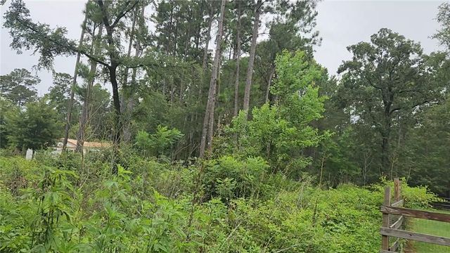 Lot 11 Scarlet Oak Drive, Plantersville, TX 77363