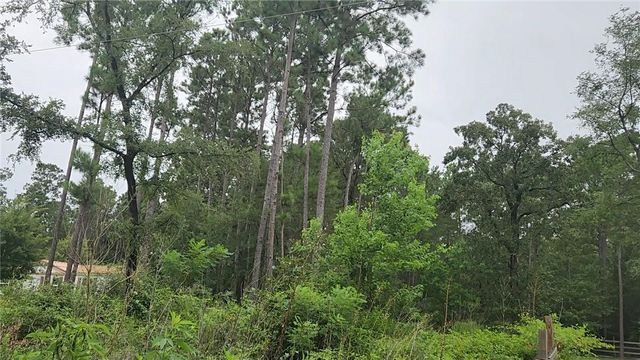 Lot 11 Scarlet Oak Drive, Plantersville, TX 77363