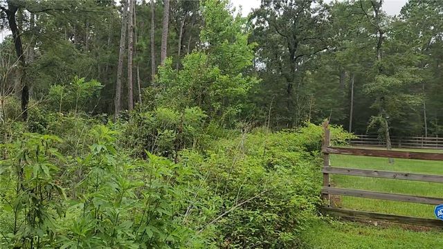 Lot 11 Scarlet Oak Drive, Plantersville, TX 77363