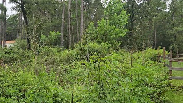 Lot 11 Scarlet Oak Drive, Plantersville, TX 77363