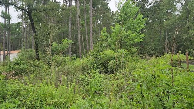 Lot 11 Scarlet Oak Drive, Plantersville, TX 77363