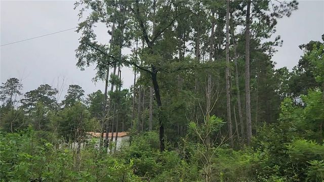 Lot 11 Scarlet Oak Drive, Plantersville, TX 77363