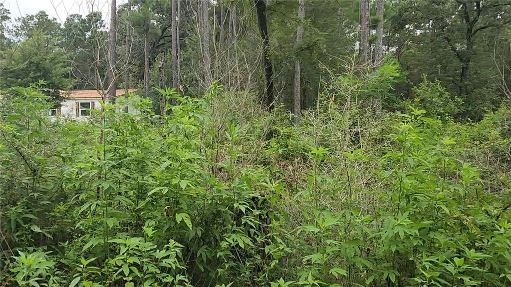 Lot 11 Scarlet Oak Drive, Plantersville, TX 77363
