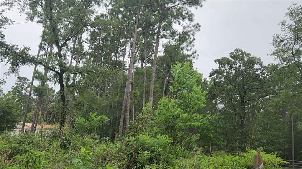 Lot 11 Scarlet Oak Drive, Plantersville, TX 77363 — photo 4