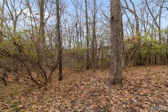 2639 Rockwood Pointe Court, Wildwood, MO 63040