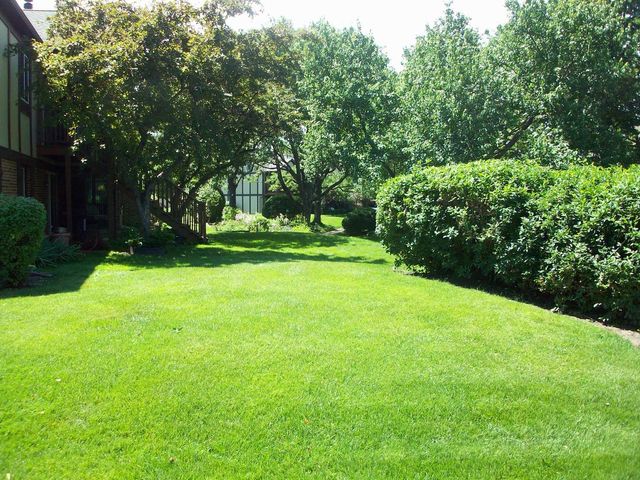 367 Pembroke Lane 5, Glen Ellyn, IL 60137